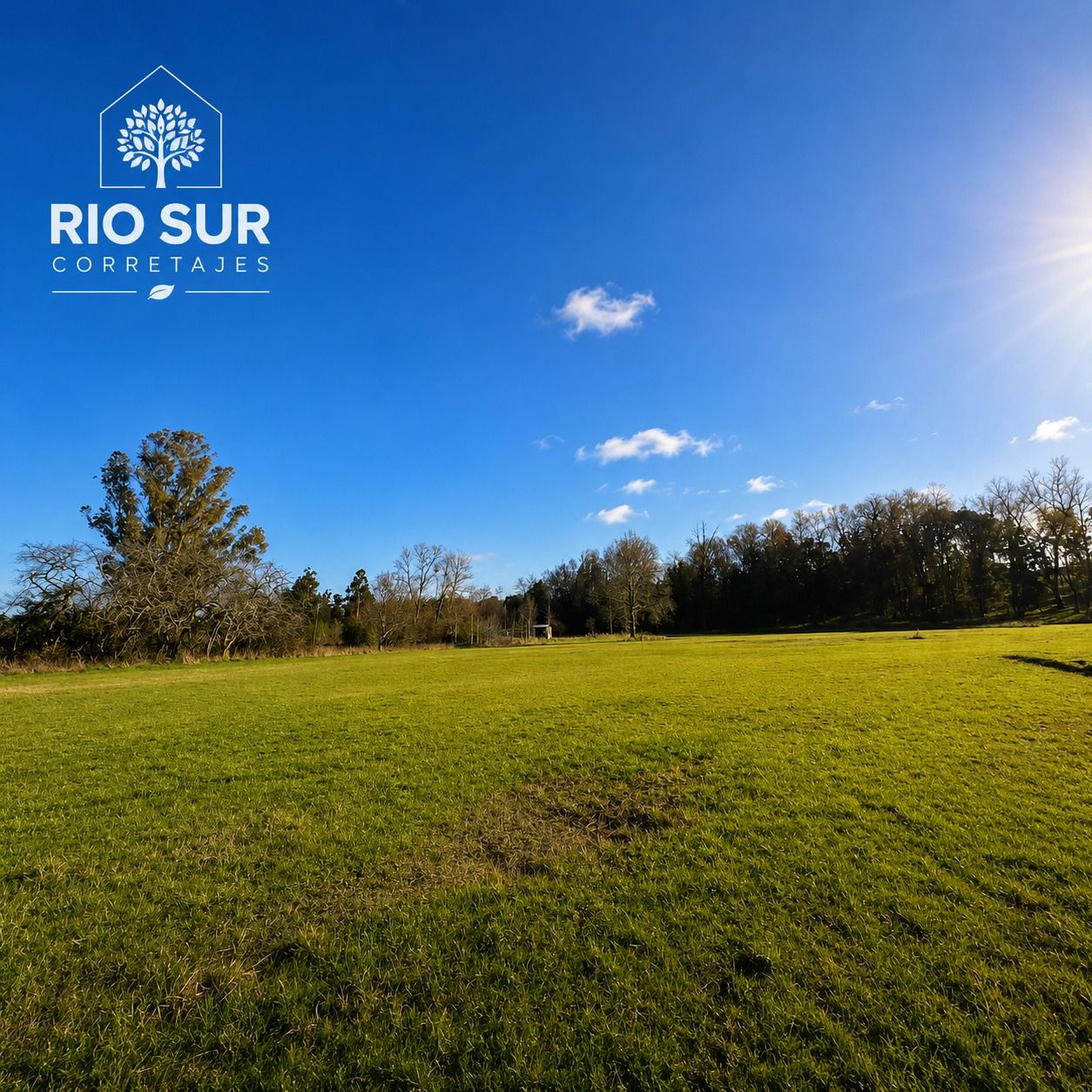 https://xprop-spaces.nyc3.digitaloceanspaces.com/property/1123/06/gallery/WhatsApp%20Image%202026-06-10%20at%2014.01.42%20%282%29_6a29f43cb530d.jpeg