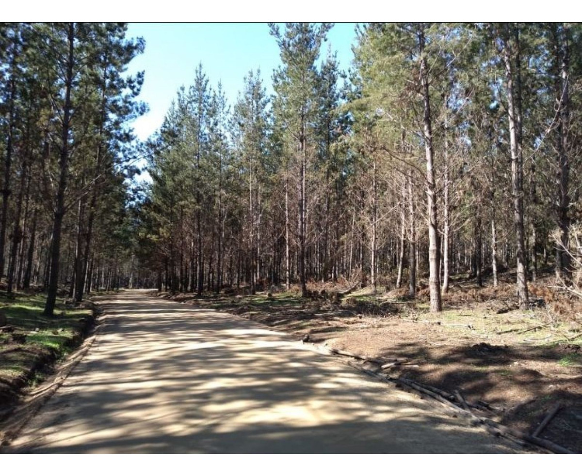 Venta Parcela Pichilemu - O'Higgins