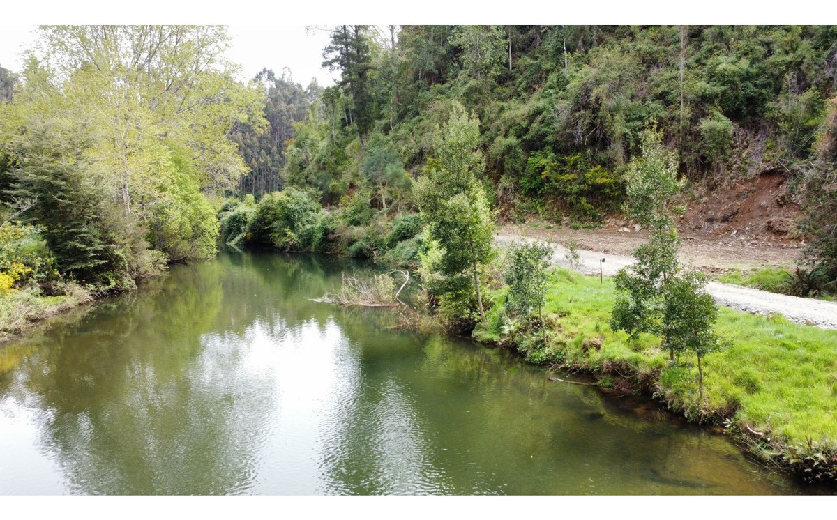 Venta Parcela Valdivia - Los Ríos
