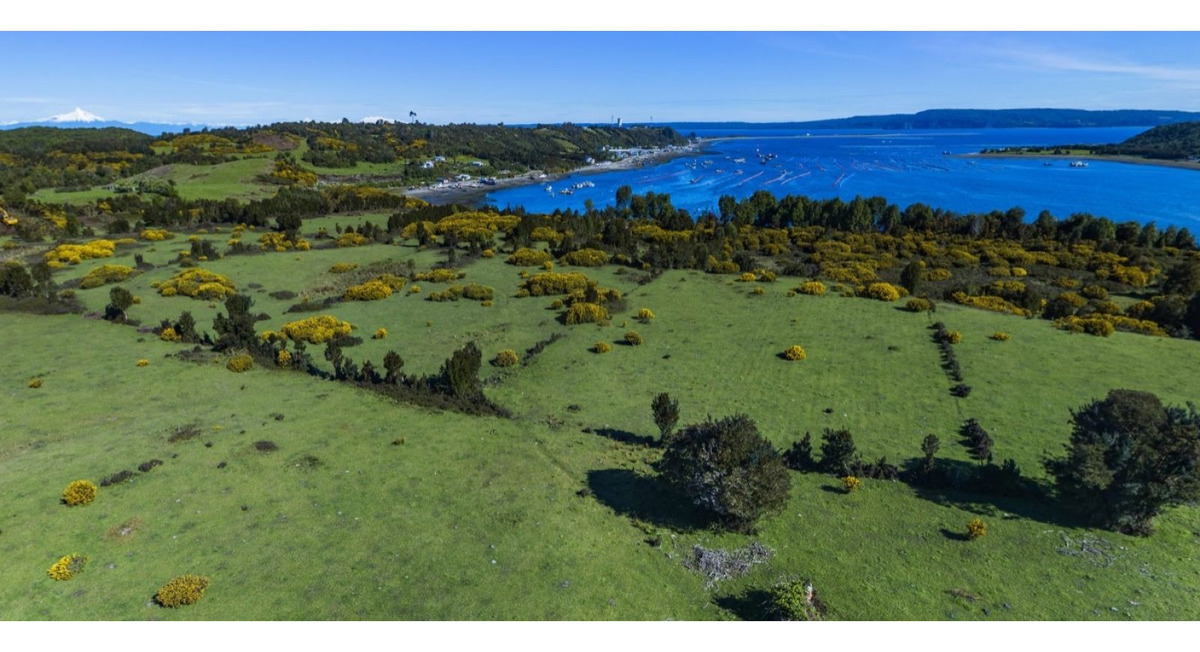 Venta Parcela Queilén - Los Lagos