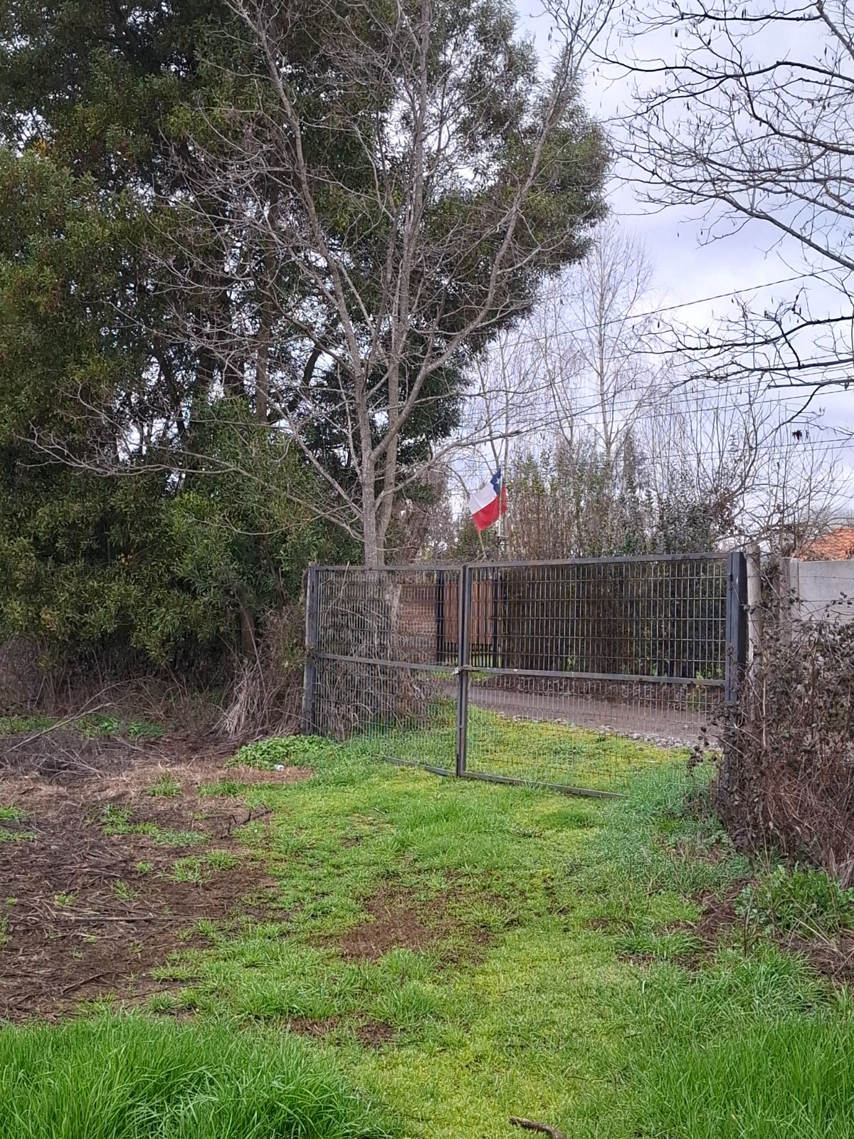 Venta Parcela Villa Alegre - Maule