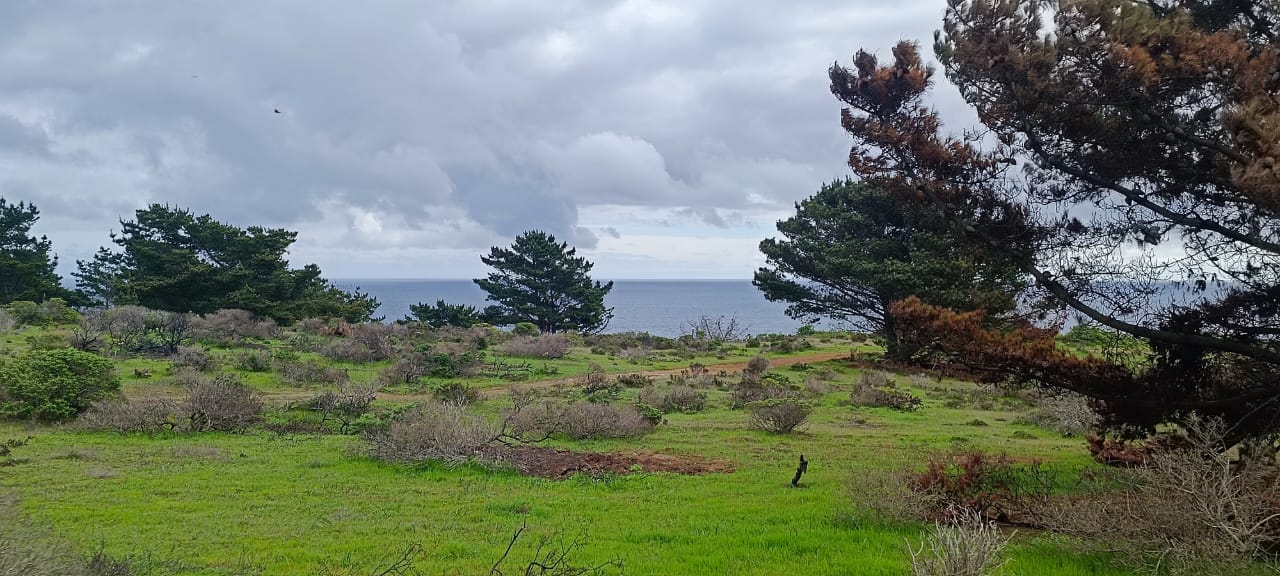 Venta Terreno Valparaíso - Valparaíso