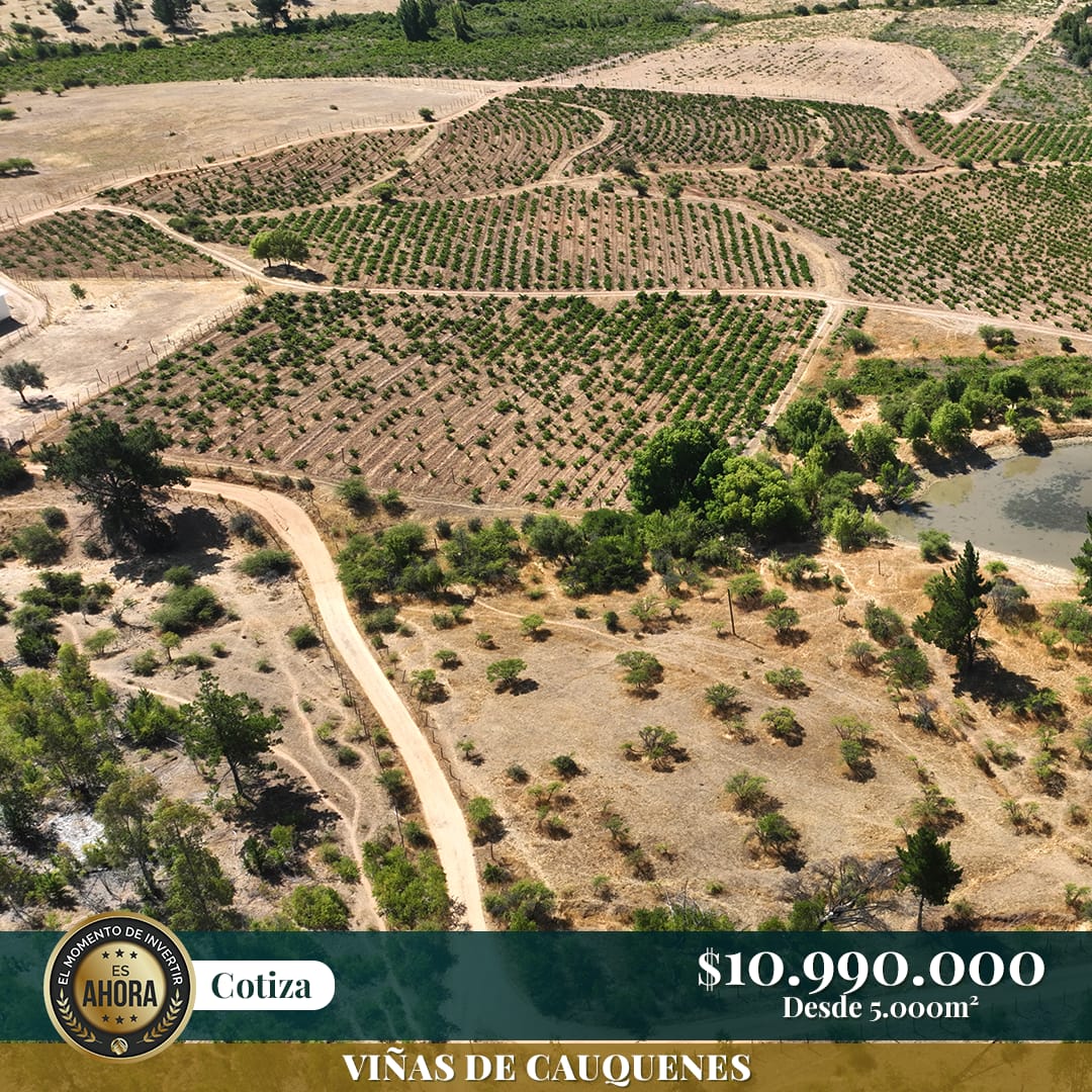 Venta Parcela Cauquenes - Maule