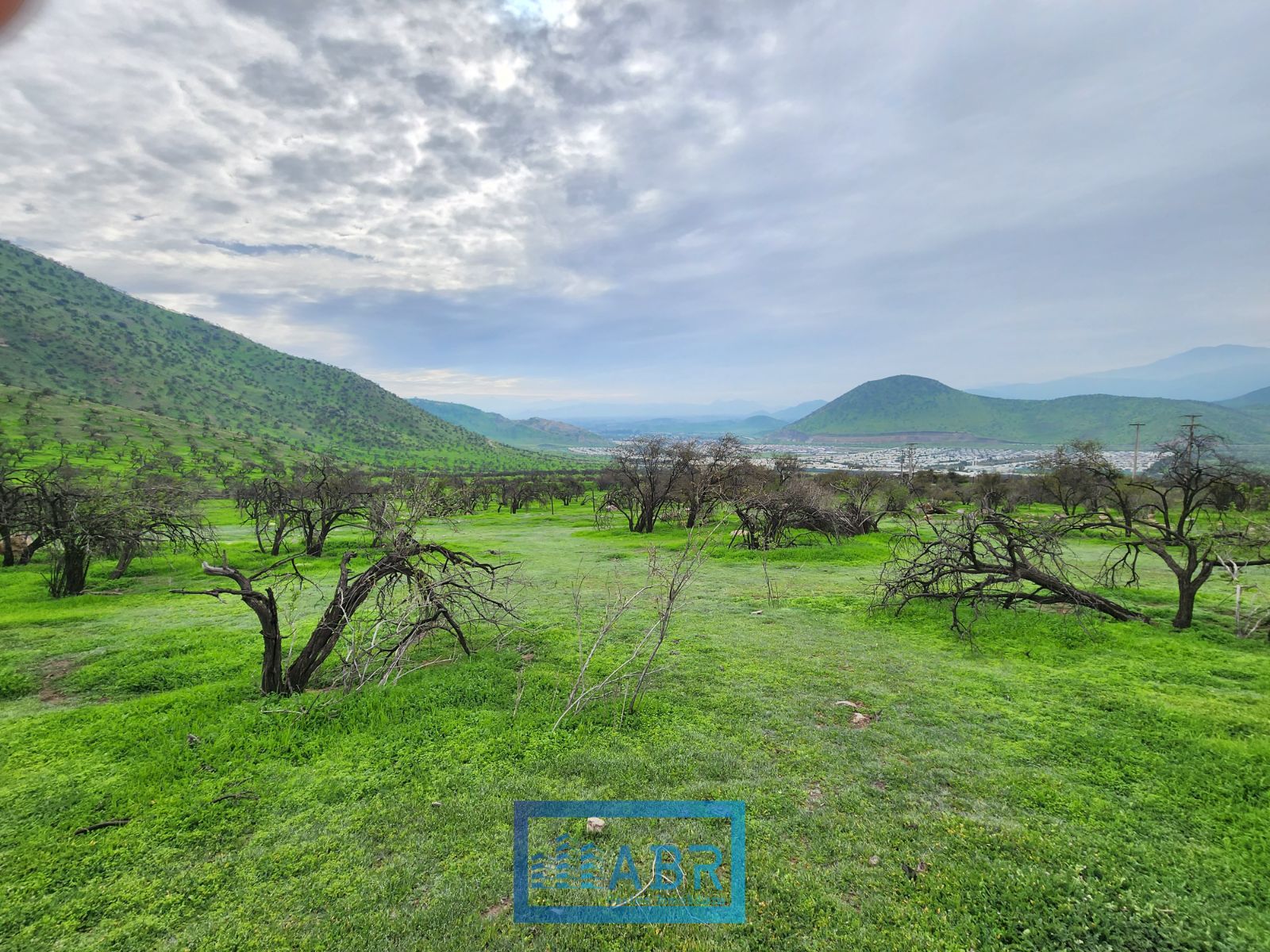 Venta Parcela Colina - Región Metropolitana