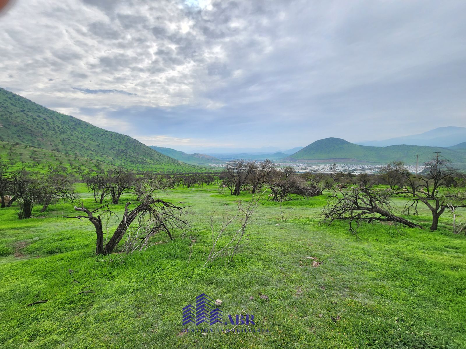 Venta Parcela Colina - Región Metropolitana