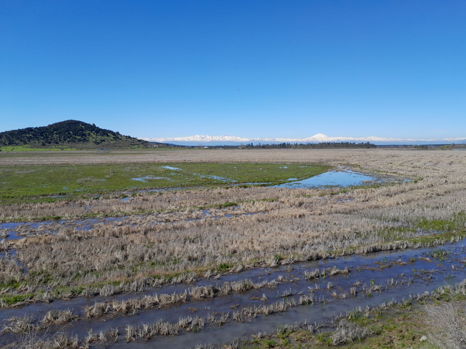 Venta Terreno Retiro - Maule