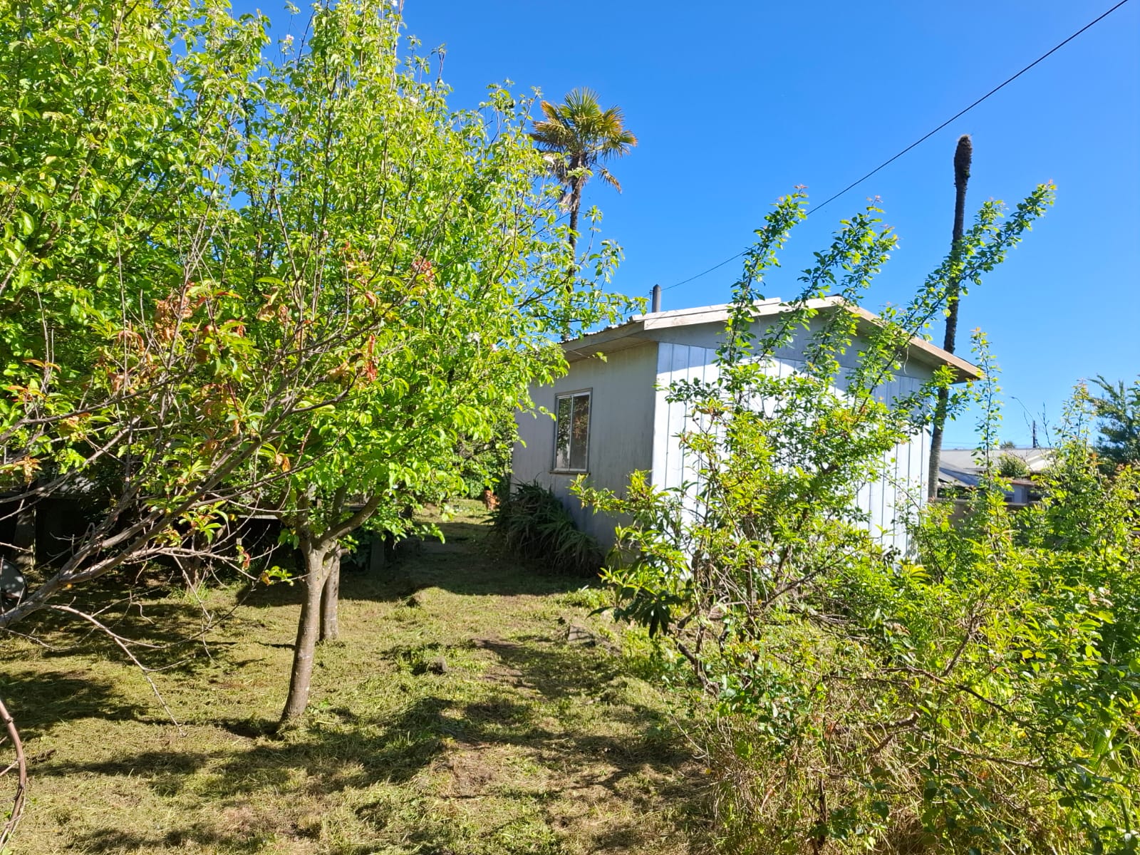 Venta Parcela Arauco - Biobío