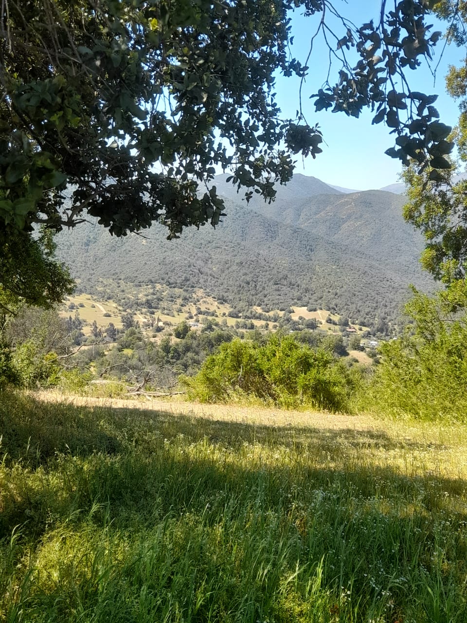 Venta Terreno Quilpué - Valparaíso