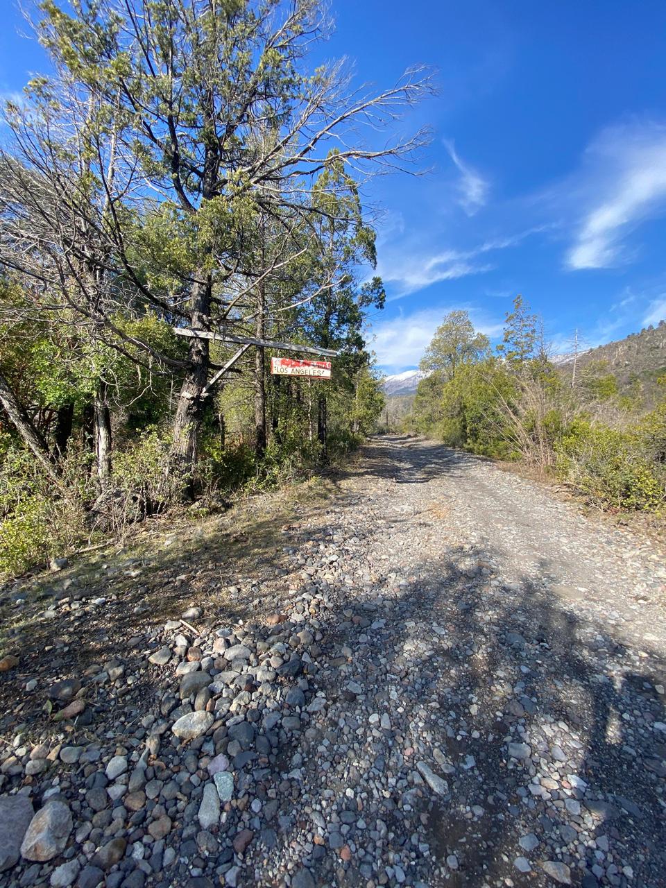 Venta Terreno Pinto - Ñuble