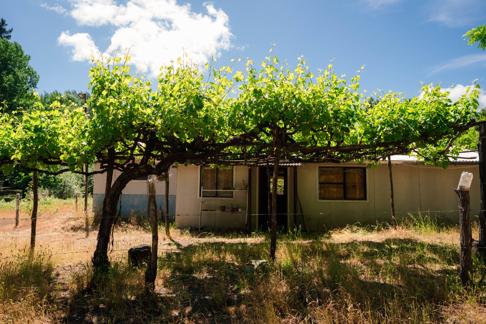 Venta Parcela Yumbel - Biobío