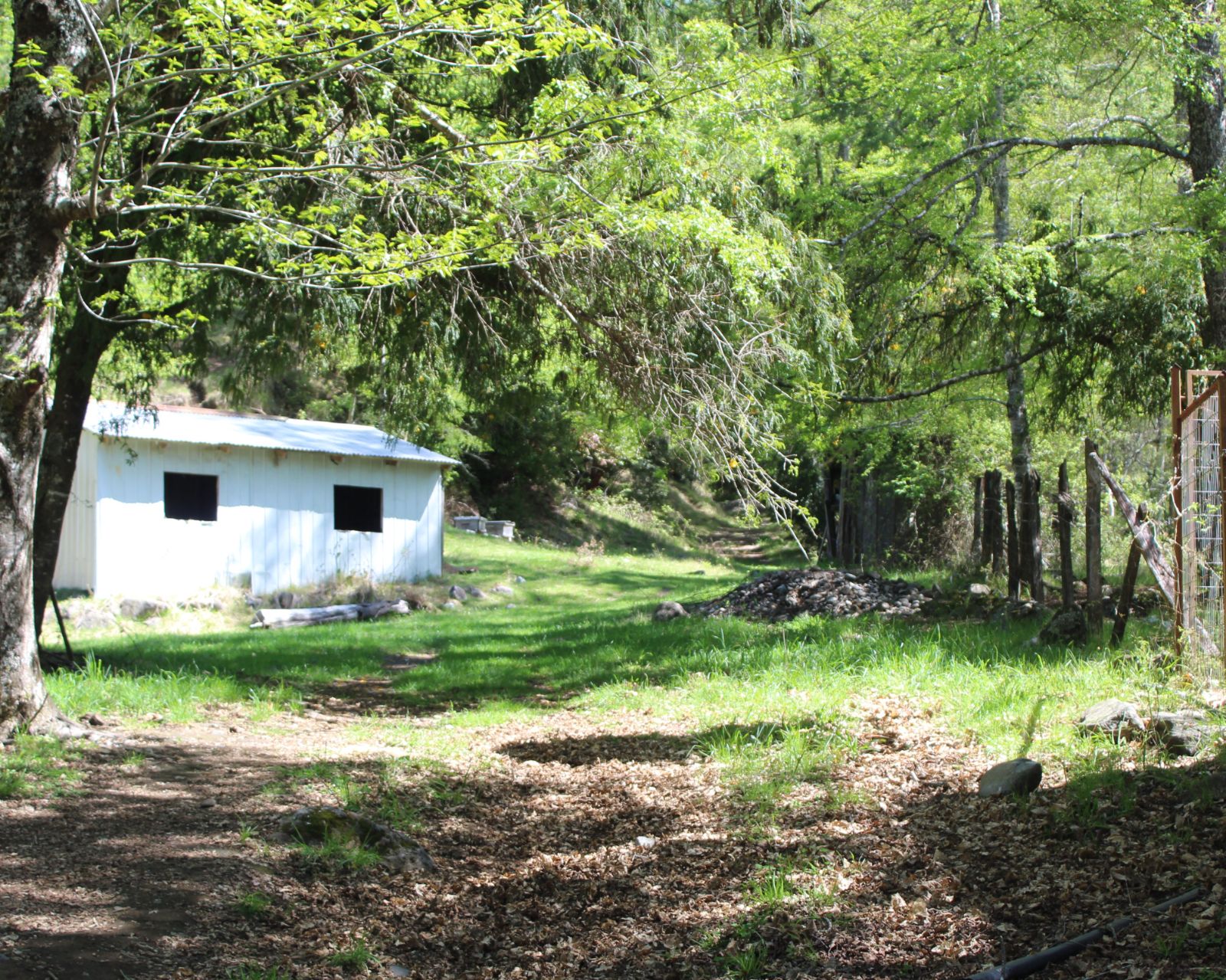 Venta Terreno Curarrehue - La Araucanía