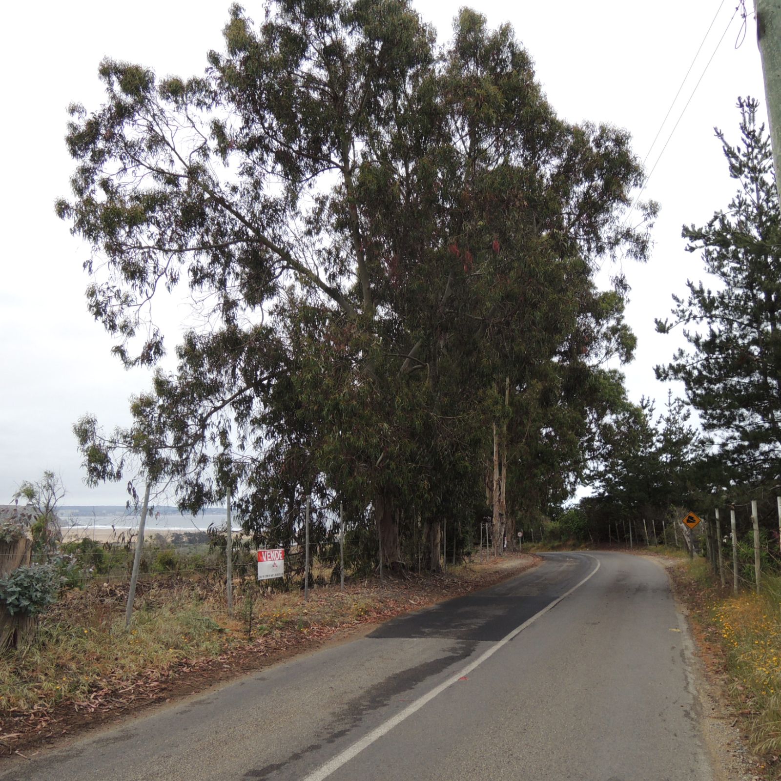 Venta Terreno Casablanca - Valparaíso