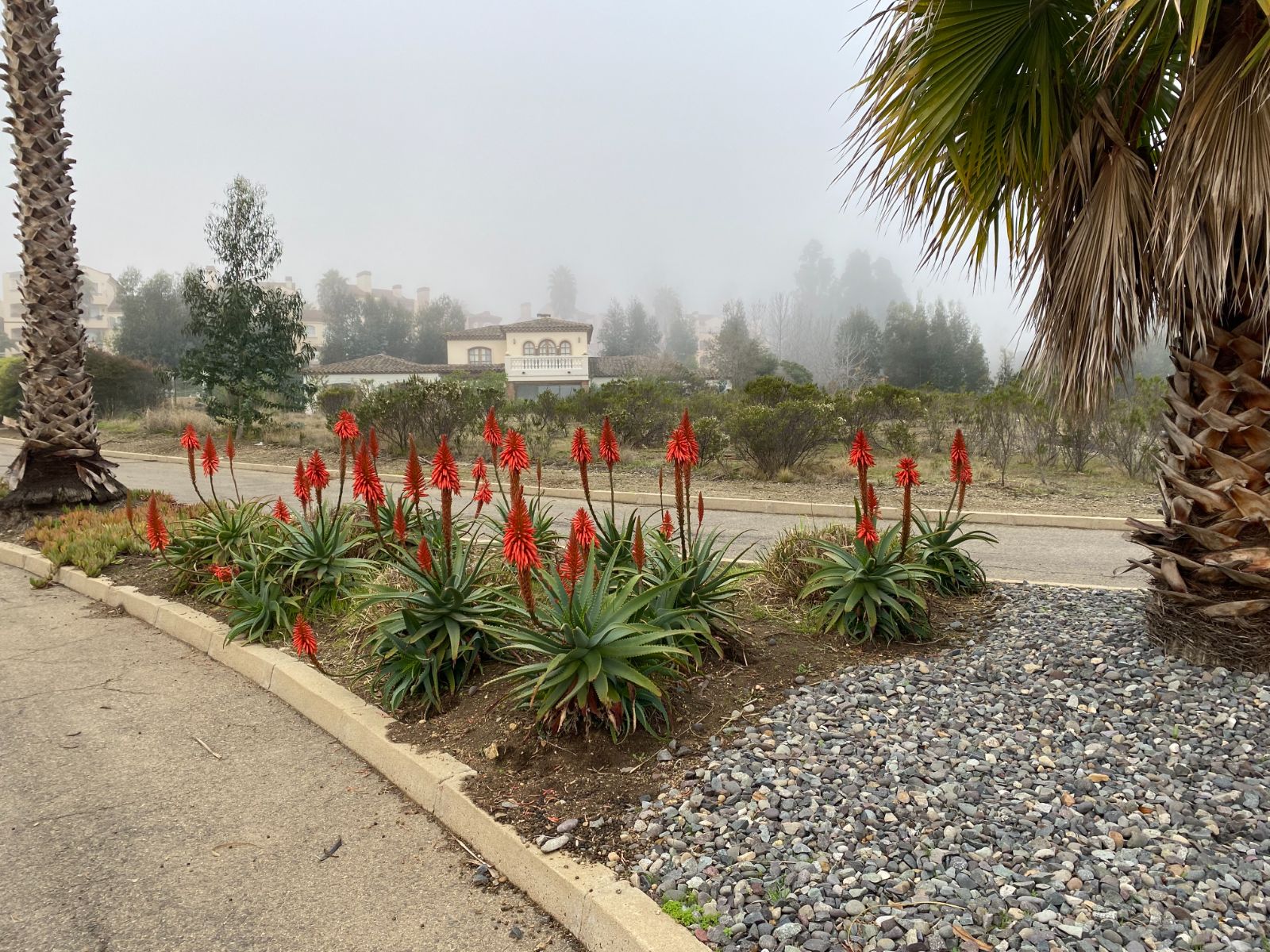 Venta Terreno Casablanca - Valparaíso