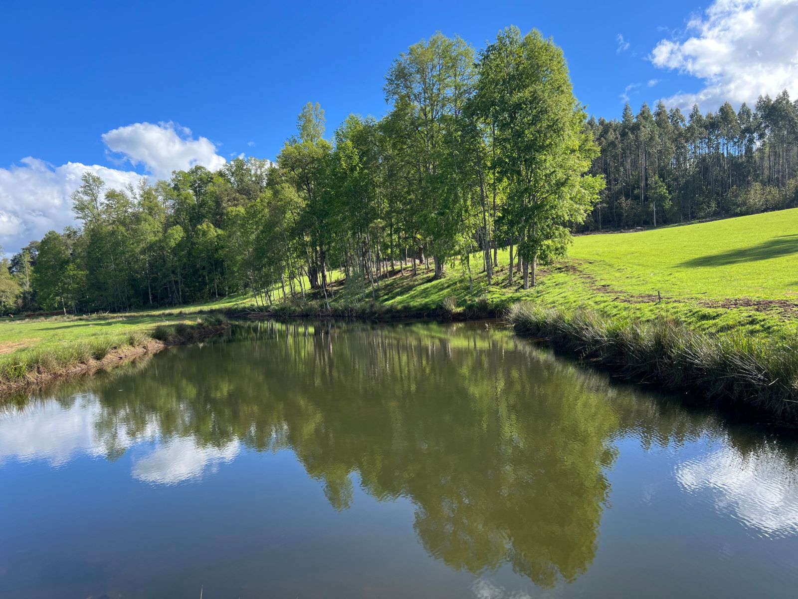 Venta Parcela Villarrica - La Araucanía