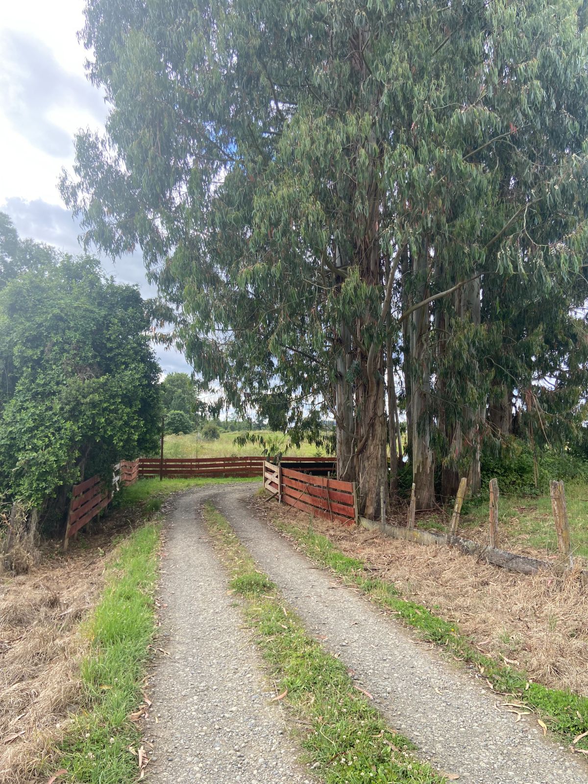 Terreno en La Unión