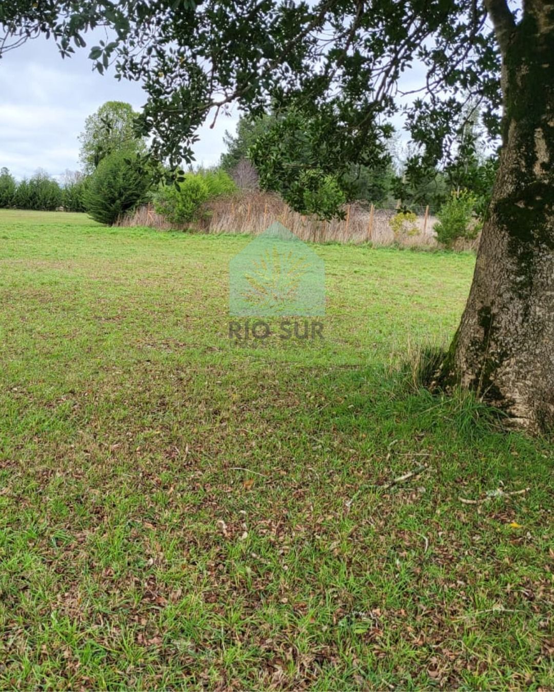 https://xprop-spaces.nyc3.digitaloceanspaces.com/property/7434/05/gallery/WhatsApp%20Image%202026-05-05%20at%2012.53.38%20%282%29_69fa2221bf63c.jpeg