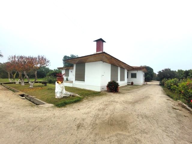 https://xprop-spaces.nyc3.digitaloceanspaces.com/property/7806/06/gallery/20250515_120943%20de%20taman%CC%83o%20mediano_6a2647b407c74.jpeg