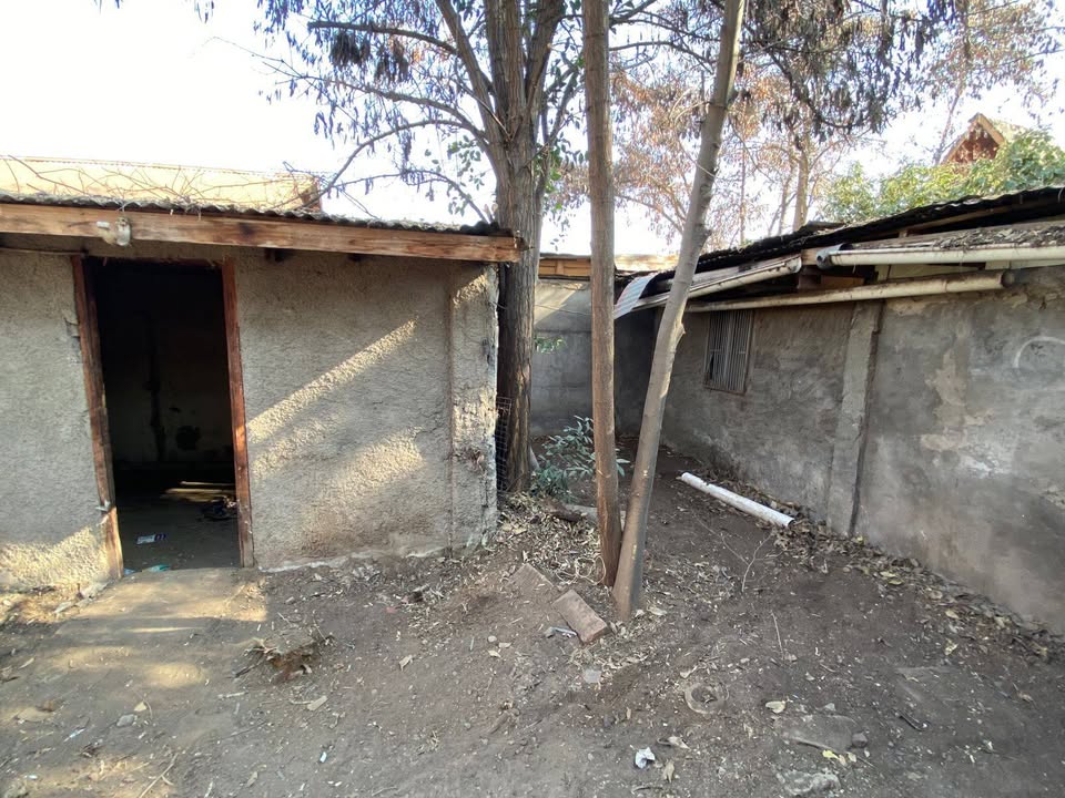 https://xprop-spaces.nyc3.digitaloceanspaces.com/property/8139/07/gallery/739025008_10241459327197216_3650055348810097418_n_6a4c1a5545952.jpg