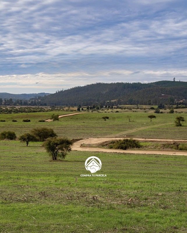 https://xprop-spaces.nyc3.digitaloceanspaces.com/property/8619/08/gallery/HV%20imagen%208_6a84b2f087113.jpg